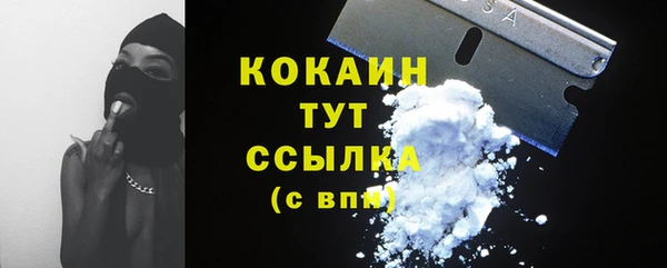 круглые Карпинск