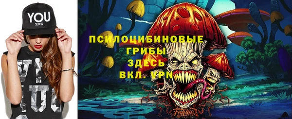 стаф Каменка